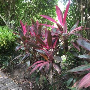 Meet your Posher, Adriana